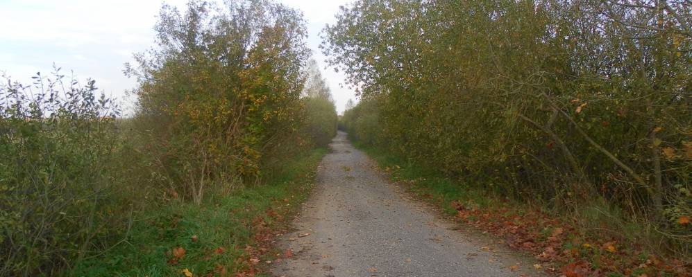 Фотография деревни Кислые