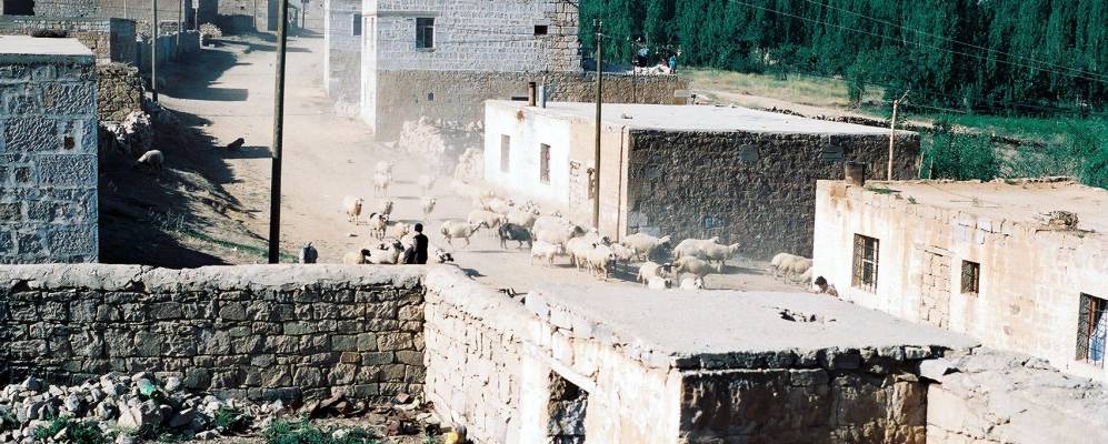 
            Фотография Элмали