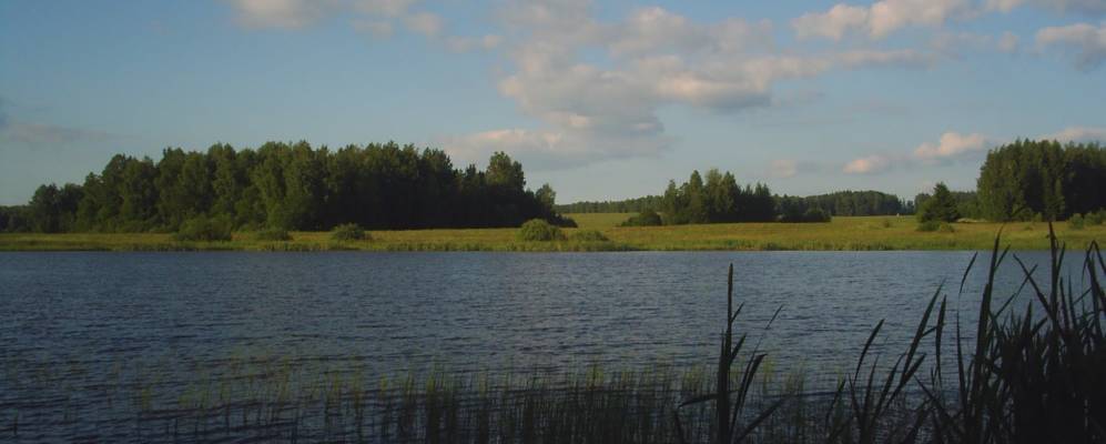 
            Фотография Вишенок