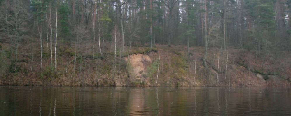 Фотография деревни Толстыки