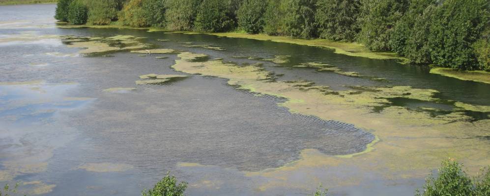 
            Фотография Кубасов