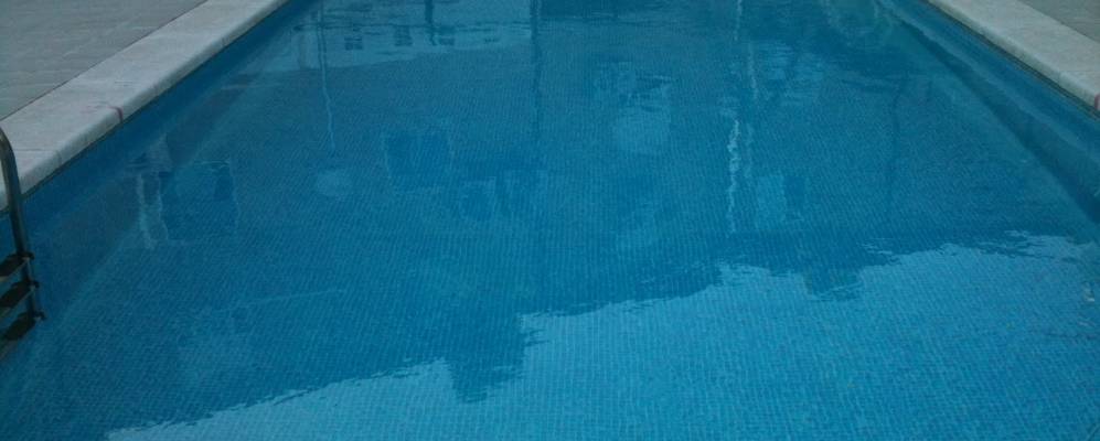 
            Фотография Пинсеке