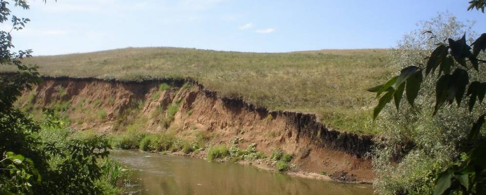 Фотография Тавлинки