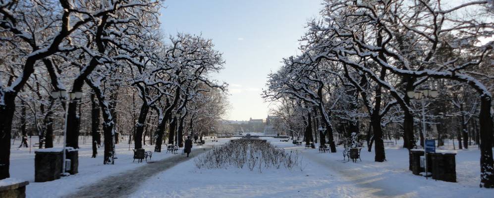 
            Фотография Тимишоары