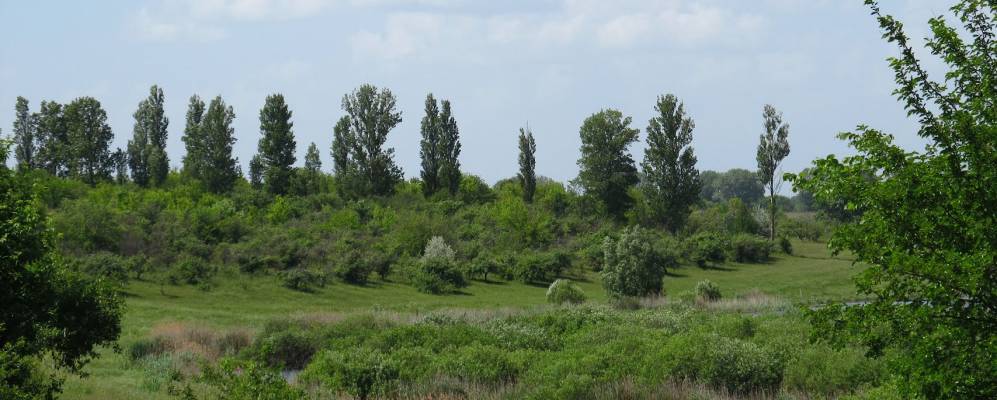 
            Фотография Супоевки