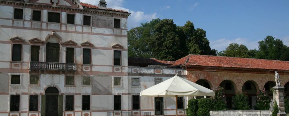 
            Фотография Розы