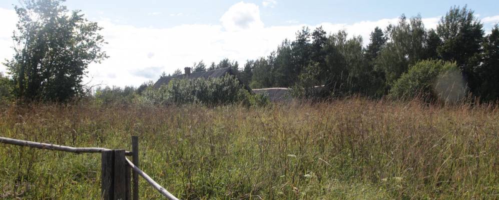 
            Фотография Лужей