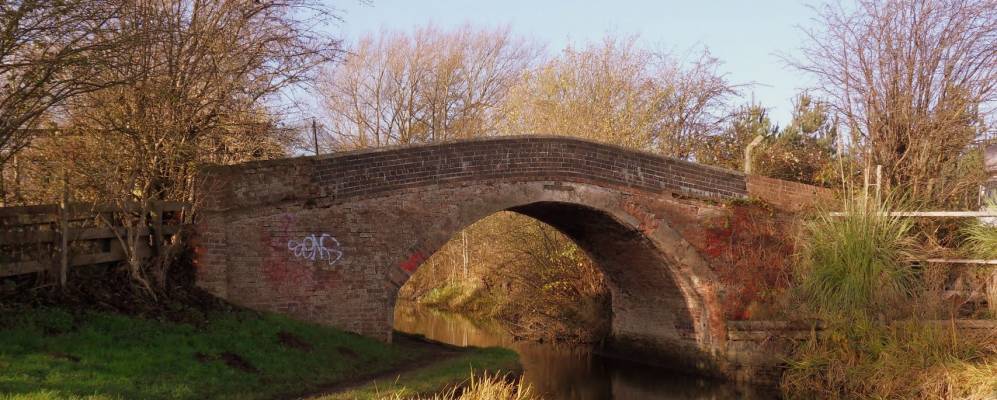 
            Фотография Блэби