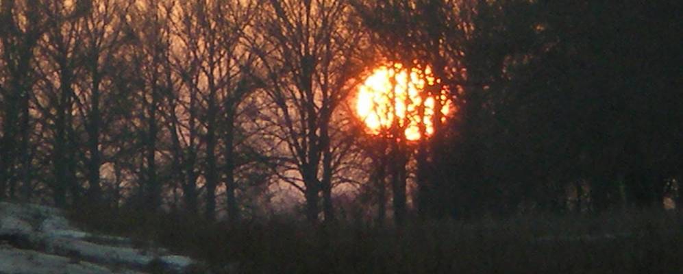 
            Фотография Облоги