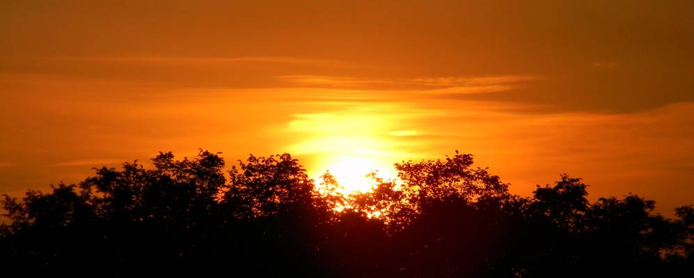 
            Фотография Михайловского