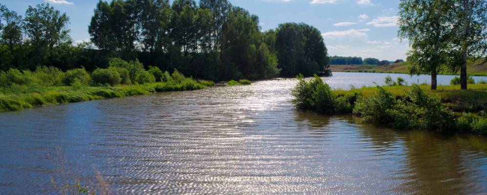 
            Фотография Подлесного