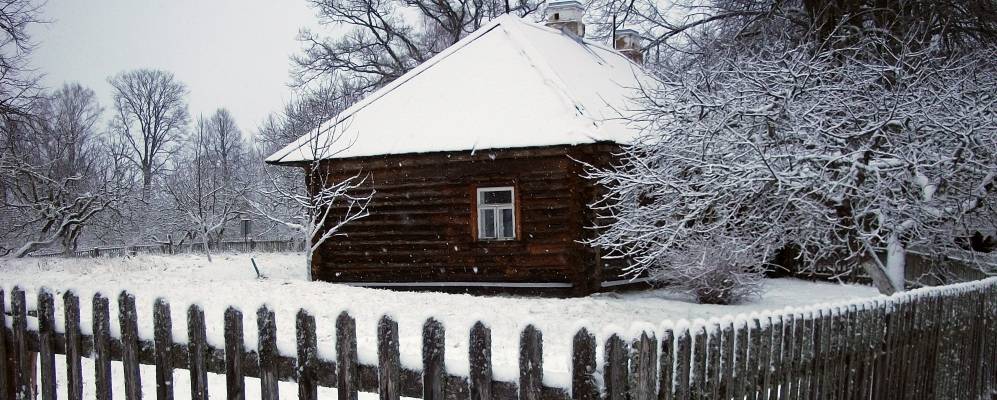 
            Фотография поселка Пушкинские Горы