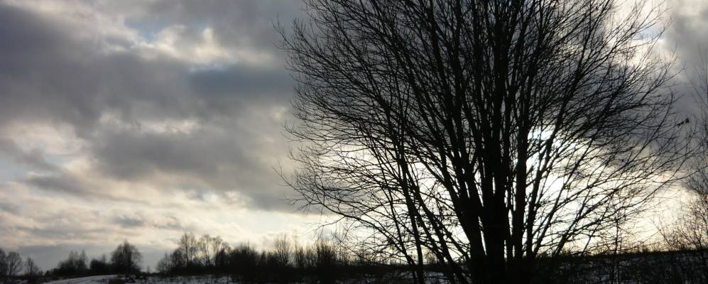 Фотография Барсуков