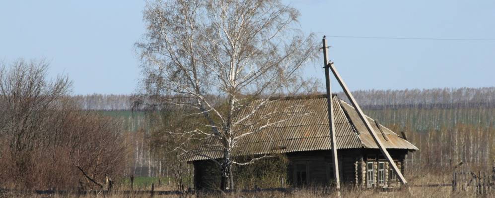 
            Фотография Копышовки