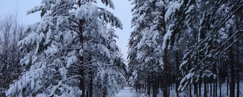 Фотография деревни Парихи