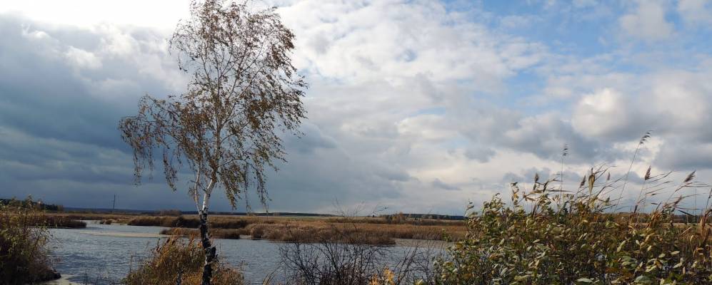 
            Фотография Кочкаря