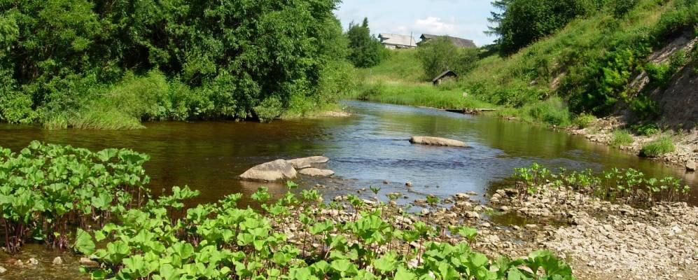 
            Фотография Прошинской