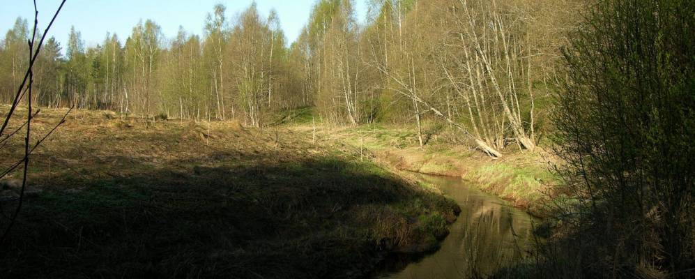 
            Фотография Отрады