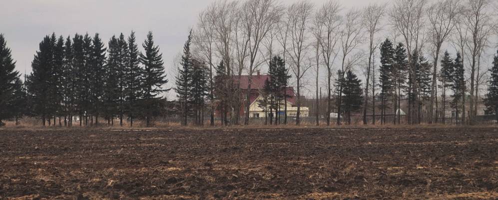 Фотография Заболота