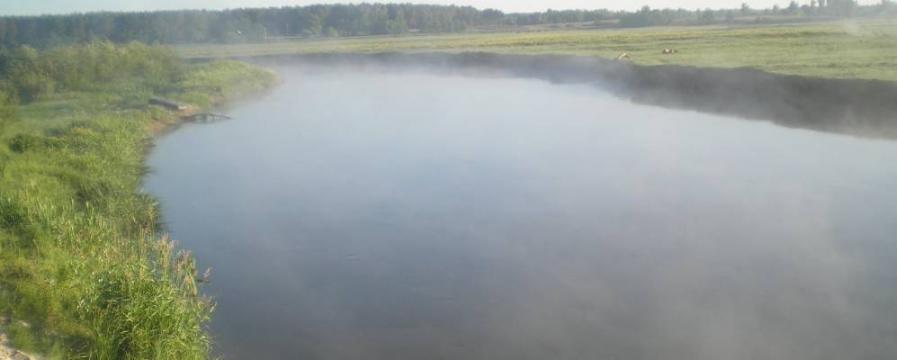 
            Фотография Новоселки