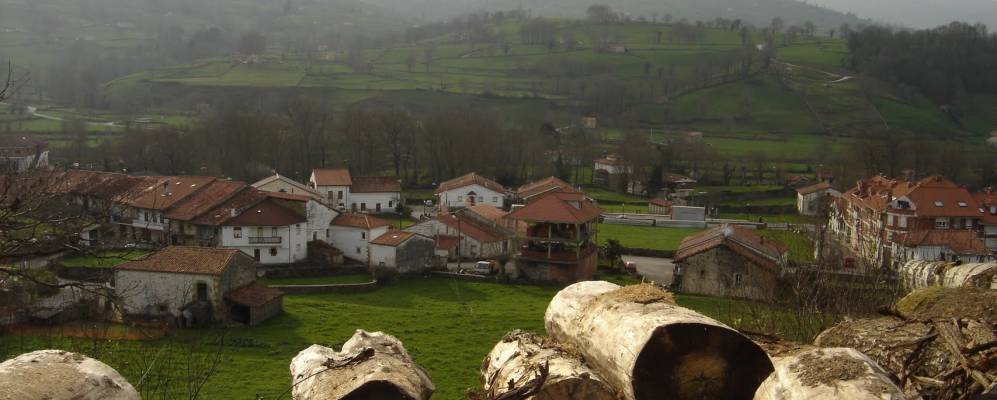 
            Фотография Селайы