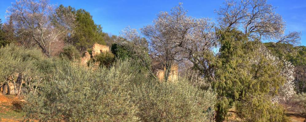 
            Фотография Сент-Антонен-дю-Вар