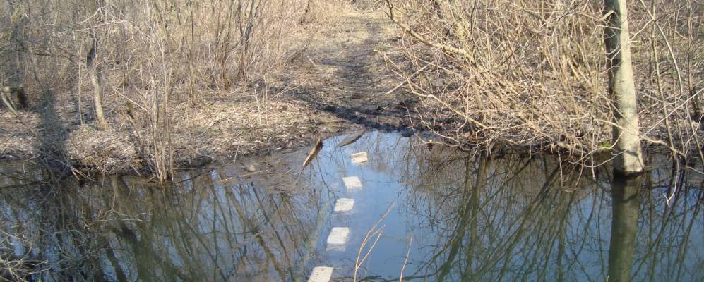 Фотография Похвистнево