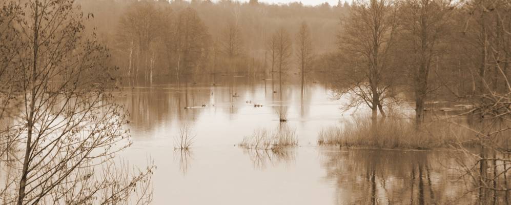 
            Фотография деревни Колосы