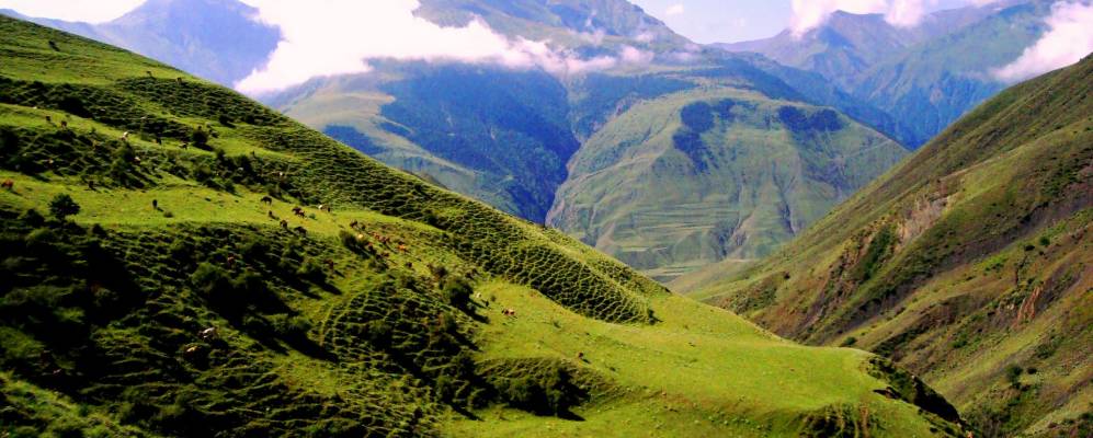 
            Фотография Ялака