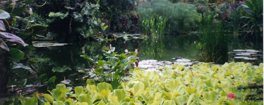 
            Фотография Антикуо Кускатлана