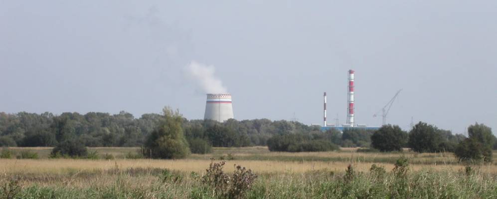 
            Фотография Малого Лесного