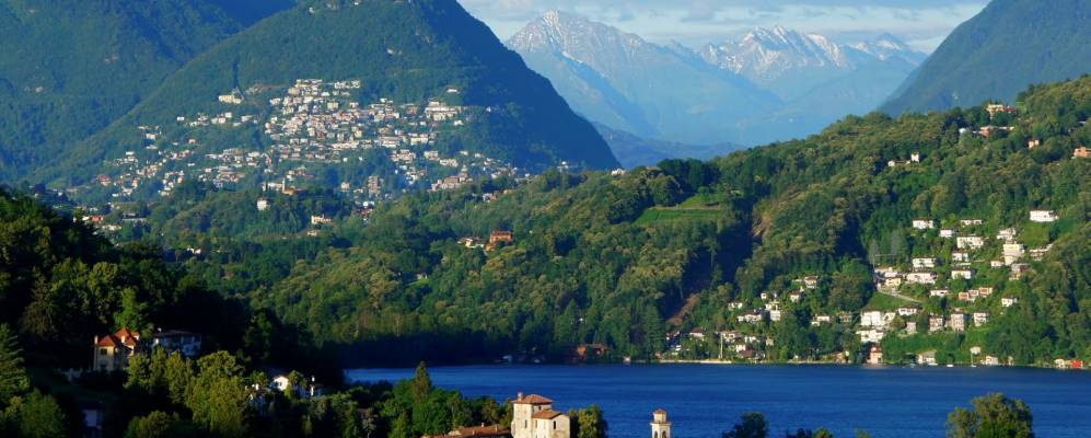 
            Фотография Пура