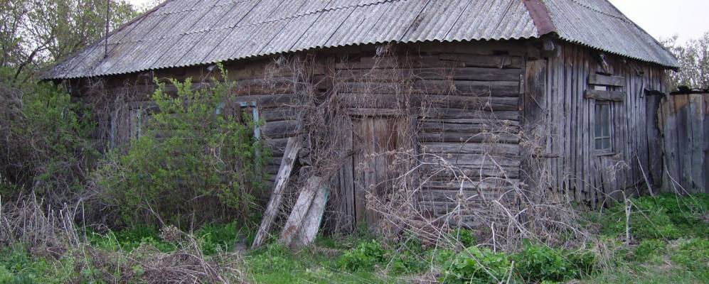 
            Фотография Садовой