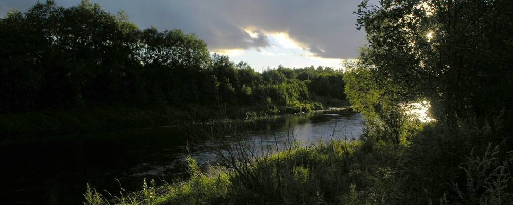 
            Фотография Долоцкого