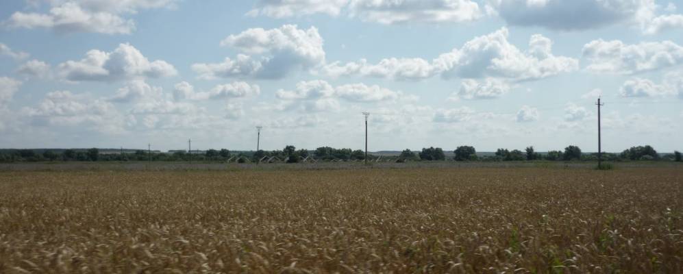 
            Фотография Павловки