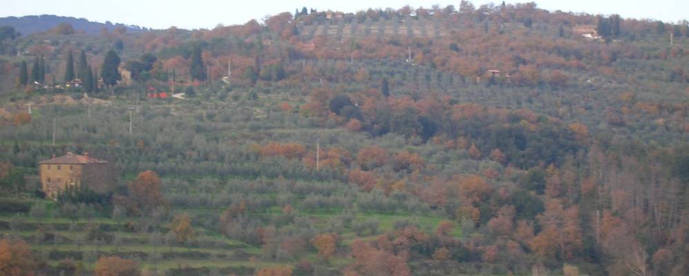 
            Фотография Сиджиано