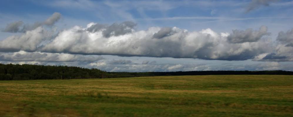 
            Фотография Перчихи