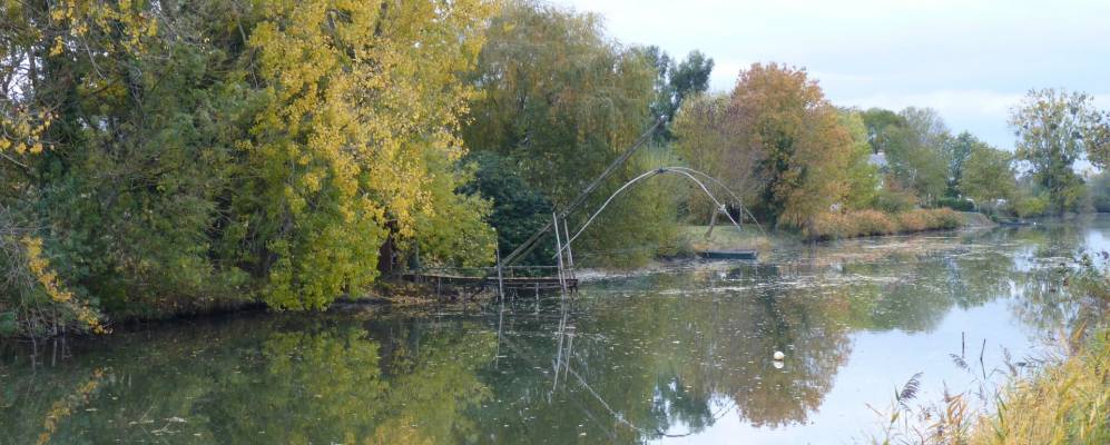 
            Фотография Корне