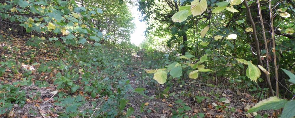 
            Фотография Зинченково