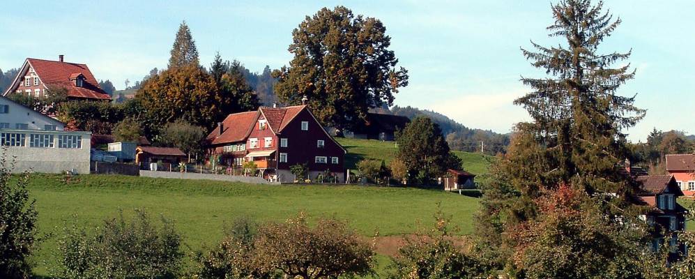 
            Фотография Баценхайд