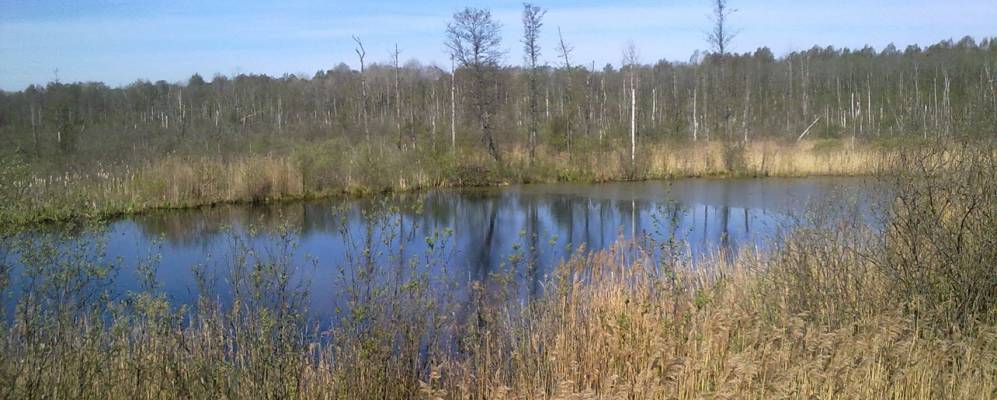 
            Фотография Игнатово