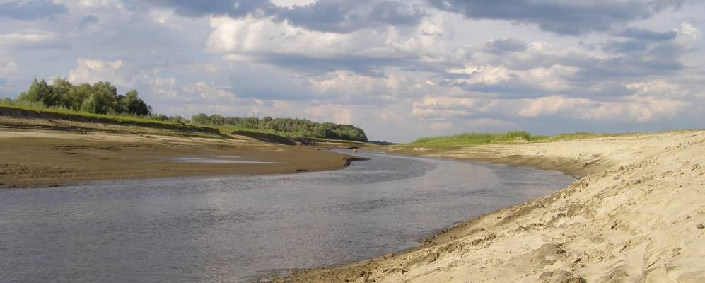 
            Фотография Цингалов