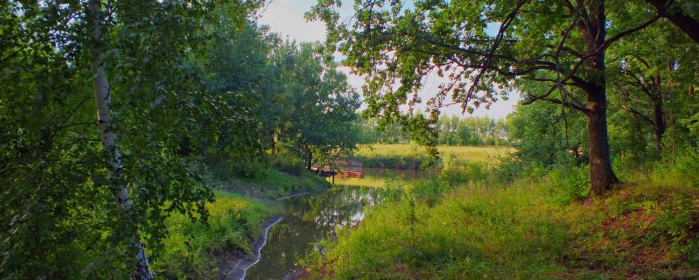 
            Фотография Янушево