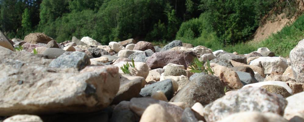 
            Фотография Красниково