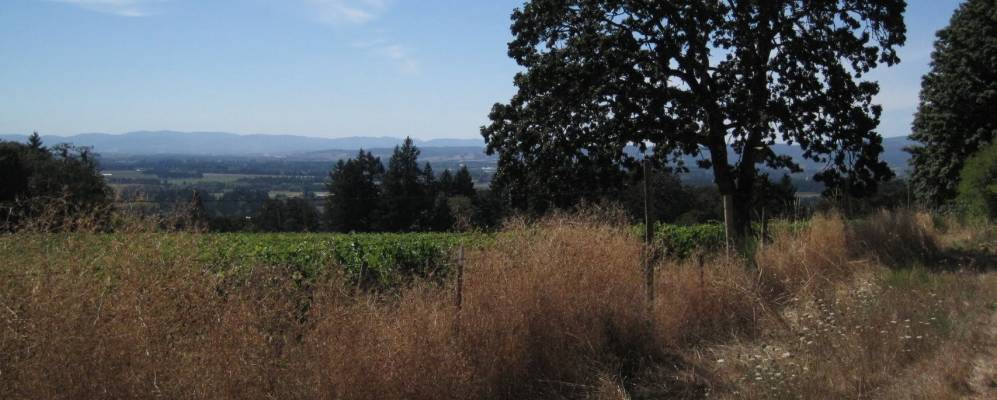 
            Фотография Лафейетта