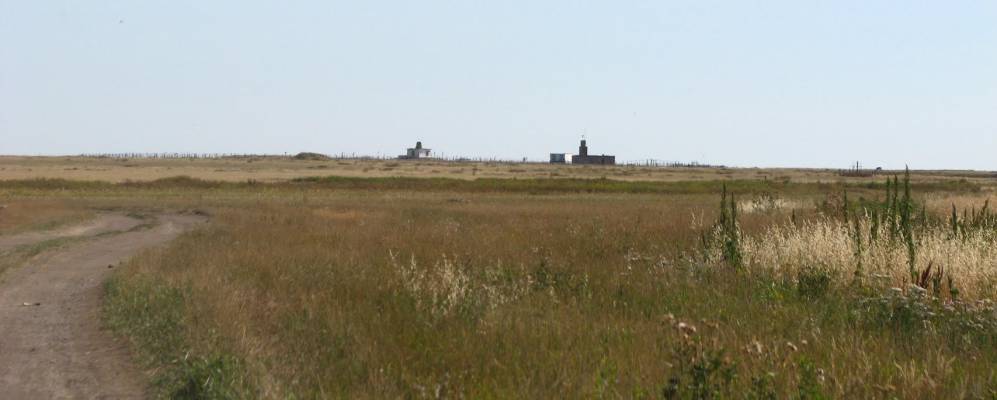 
            Фотография Джасая