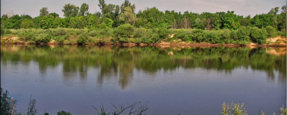 
            Фотография Шуклино