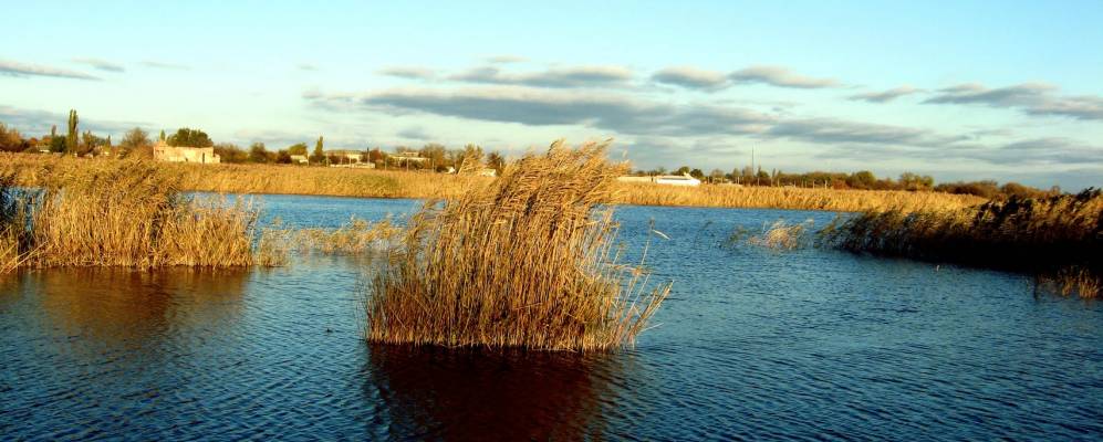 
            Фотография Шахтерского