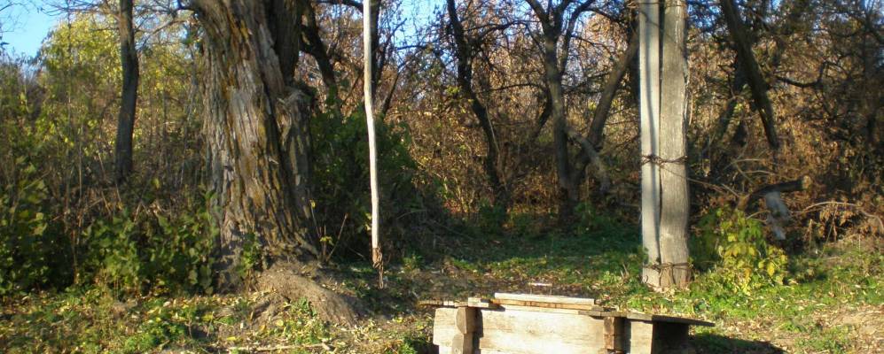 
            Фотография Высокого