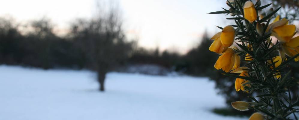 Фотография Бротона